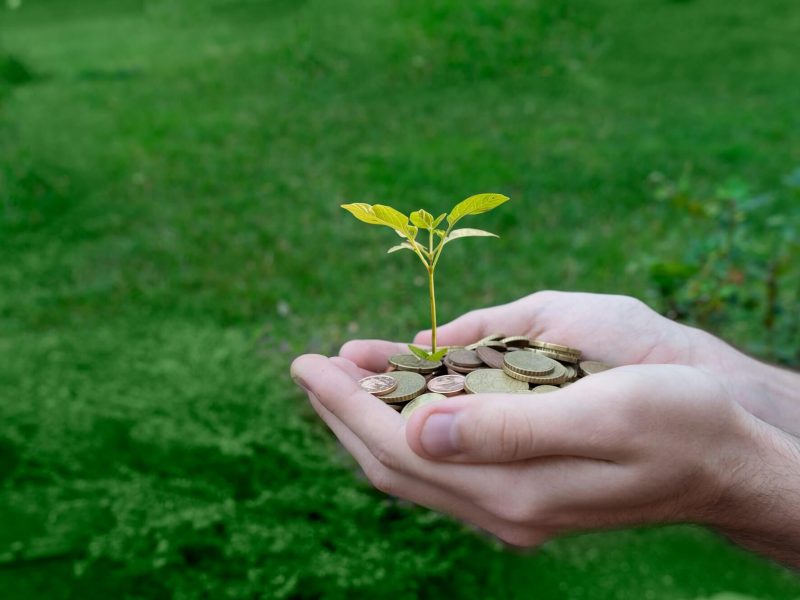 green-energy-concept.jpg